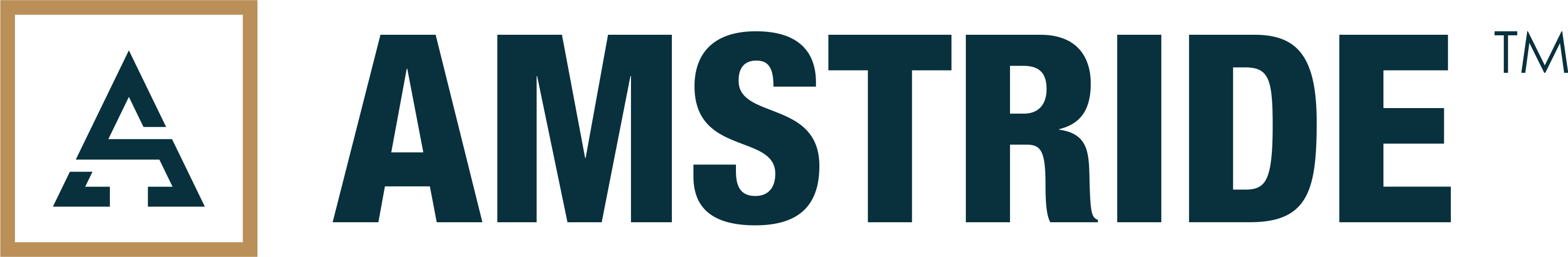 amstride-logo